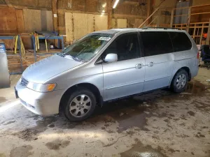 2004 HONDA All Models