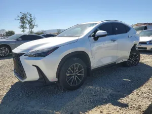 2024 LEXUS NX