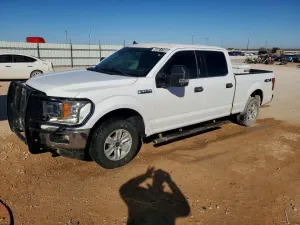 2019 FORD F150