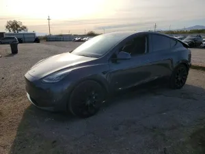 2021 TESLA MODEL Y