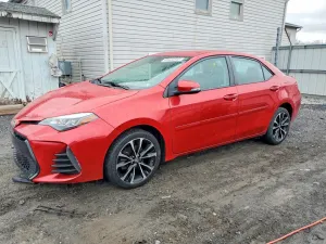 2019 TOYOTA COROLLA