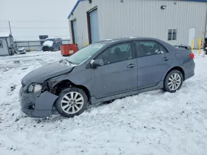 2010 TOYOTA COROLLA