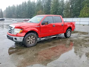 2009 FORD F150