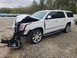 2019 CADILLAC ESCALADE