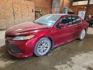 2019 TOYOTA CAMRY
