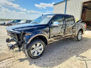 2019 FORD F-150 KIN