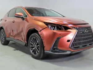 2025 LEXUS NX
