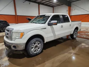 2010 FORD F150