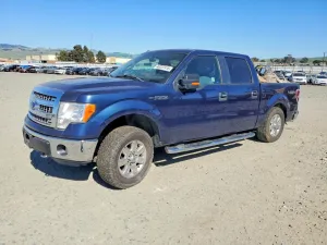 2013 FORD F150