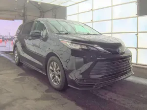 2023 TOYOTA All Models