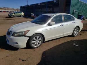 2008 HONDA ACCORD