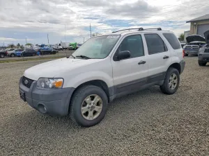 2007 FORD ESCAPE