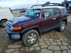 2007 TOYOTA FJ CRUISER