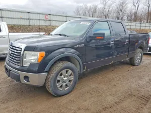 2010 FORD F-150