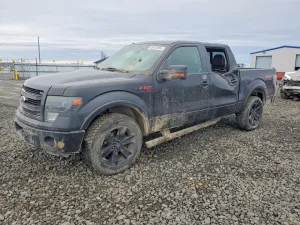2013 FORD F150