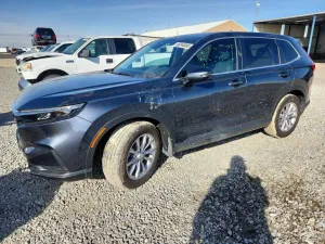 2023 HONDA CRV