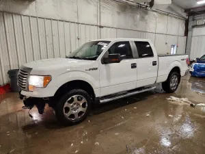2010 FORD F150