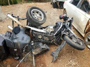 2014 HARLEY-DAVIDSON FL