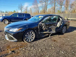 2019 LEXUS ES350