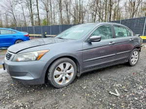 2010 HONDA ACCORD