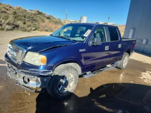 2007 FORD F150