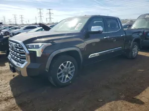 2025 TOYOTA TUNDRA