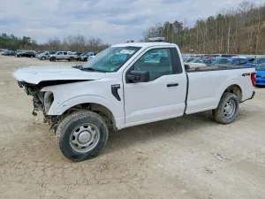 2021 FORD All Models