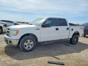 2013 FORD F150