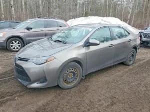 2019 TOYOTA COROLLA