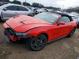 2019 FORD ALL Models