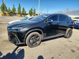 2025 LEXUS NX