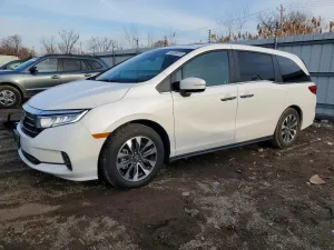 2024 HONDA All Models