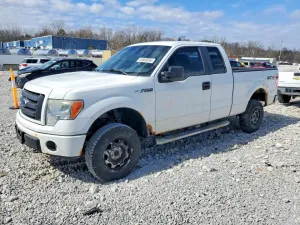 2010 FORD F150