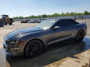 2019 FORD MUSTANG