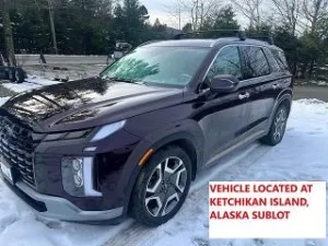 2023 HYUNDAI PALISADE