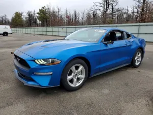 2019 FORD MUSTANG