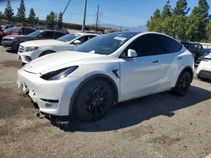 2020 TESLA MODEL Y