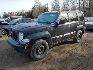 2010 JEEP LIBERTY