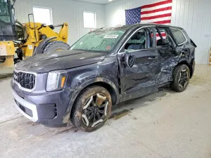 2025 KIA TELLURIDE