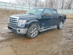 2013 FORD F150