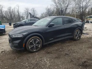 2021 FORD MUSTANG