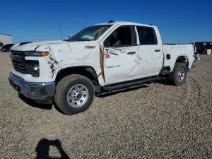 2025 CHEVROLET SILVERADO