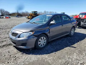 2010 TOYOTA COROLLA