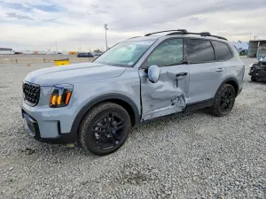 2025 KIA TELLURIDE
