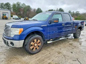2010 FORD F150