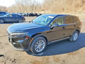 2025 HONDA CRV