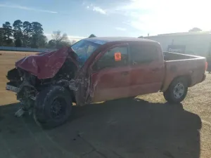 2019 TOYOTA All Models