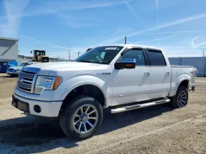 2010 FORD F150