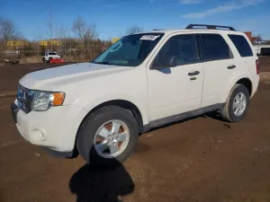 2009 FORD ESCAPE