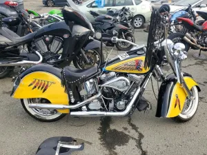 2000 INDIAN MOTORCYCLE CO. MOTORCYCLE